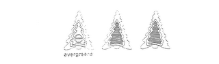 E EVERGREENS trademark