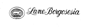 1850 LANE BORGOSESIA