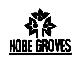 HOBE GROVES trademark