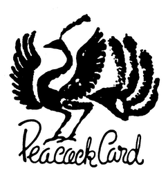 PEACOCK CARD trademark