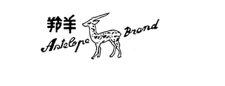 ANTELOPE BRAND