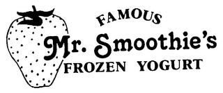 MR. SMOOTHIE'S FAMOUS FROZEN YOGURT