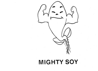 MIGHTY SOY