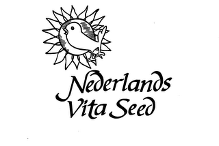 NEDERLANDS VITA SEED