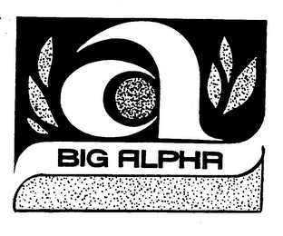BIG ALPHA A trademark