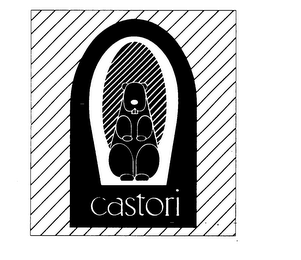 CASTORI trademark