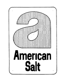 A AMERICAN SALT