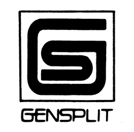 GS GENSPLIT