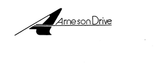 A ARNESON DRIVE