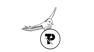 P trademark