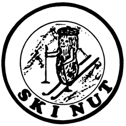 SKI NUT trademark