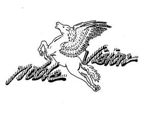 NOBLE VISION trademark