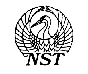 NST