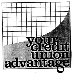 YOUR CREDIT UNION ADVANTAGE