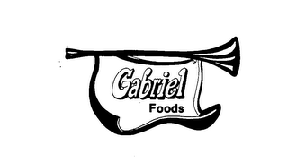 GABRIEL FOODS