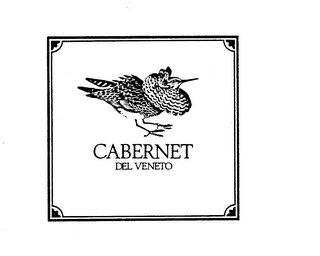 CABERNET DEL VENETO