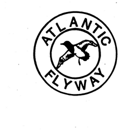 ATLANTIC FLYWAY