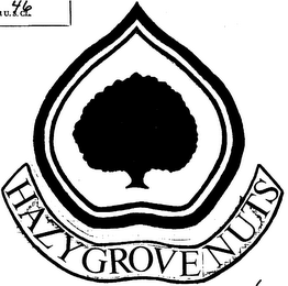 HAZY GROVE NUTS