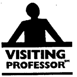 VISITING PROFESSOR