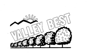 VALLEY BEST