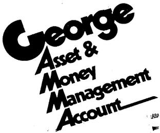 GEORGE ASSET & MONEY MANAGEMENT ACCOUNT