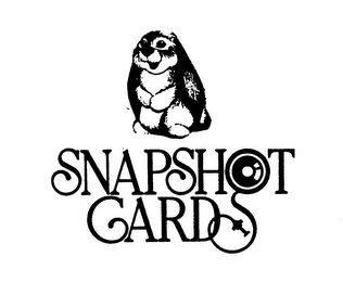 SNAPSHOT CARDS