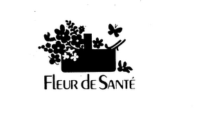 FLEUR DE SANTE