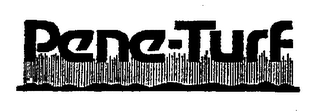 PENE-TURF trademark