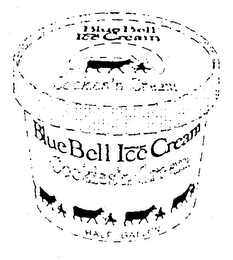 BLUE BELL ICE CREAM SUPREME COOKIES 'N CREAM HALF GALLON