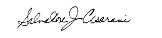 SALVATORE J CESARANI