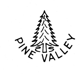 PINE VALLEY trademark