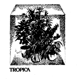TROPICA trademark