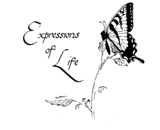 EXPRESSIONS OF LIFE