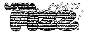 LOTSA FIZZ trademark