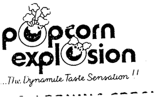 POPCORN EXPLOSION - THE DYNAMITE TASTE SENSATION!!