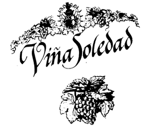 VINA SOLEDAD