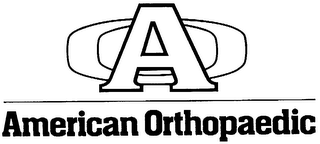 AMERICAN ORTHOPAEDIC