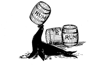 RUM