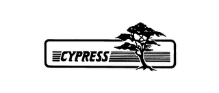 CYPRESS