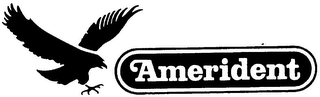 AMERIDENT trademark
