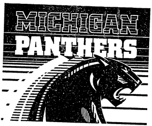 MICHIGAN PANTHERS