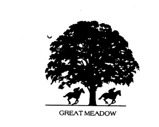 GREAT MEADOW