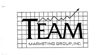 TEAM MARKETING GROUP, INC.