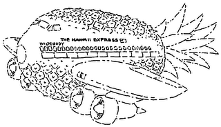 THE HAWAII EXPRESS WIDEBODY