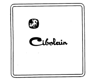 CIBOLAIN