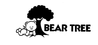 BEAR TREE