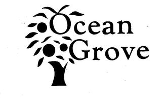 OCEAN GROVE trademark