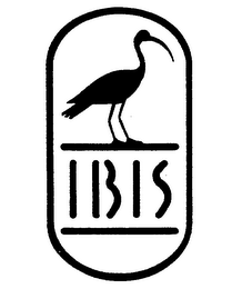 IBIS trademark