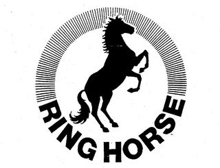 RING HORSE