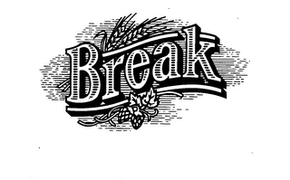 BREAK trademark